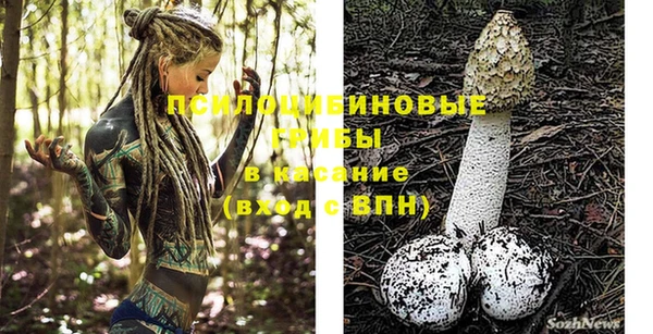 хмурый Алексеевка