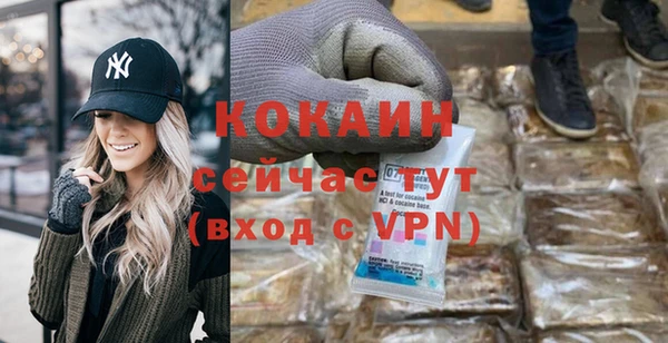 прущие грибы Россошь