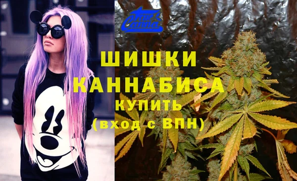 хмурый Алексеевка