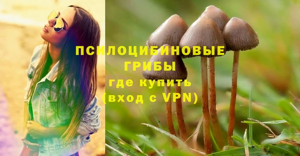 хмурый Алексеевка