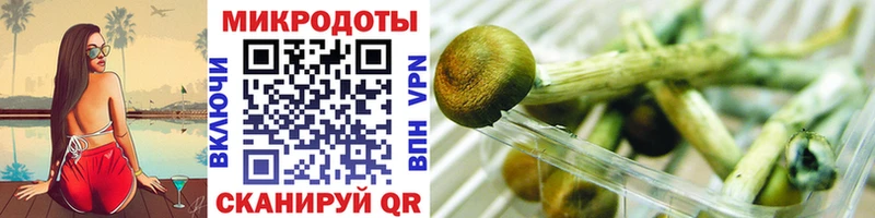 Галлюциногенные грибы прущие грибы  сколько стоит  Покров 